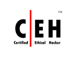 logo7